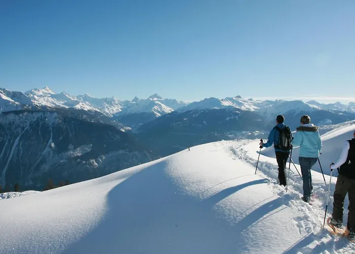 Apartment Armorial Est 72 By Interhome * Vermala